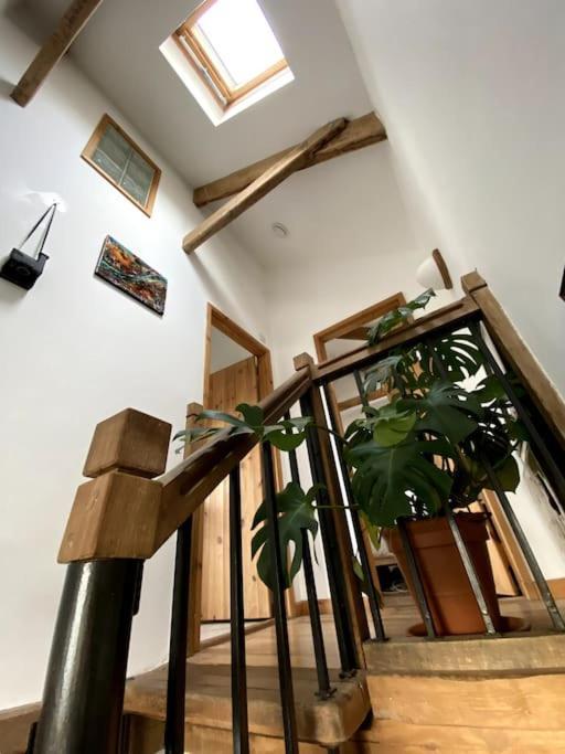 9A Viaduct Cottage - The Cosiest Bolthole In The Sw! 海尔 外观 照片