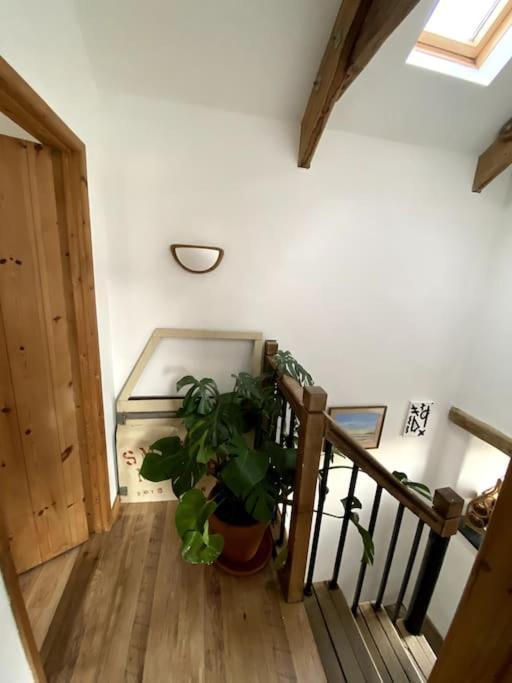 9A Viaduct Cottage - The Cosiest Bolthole In The Sw! 海尔 外观 照片